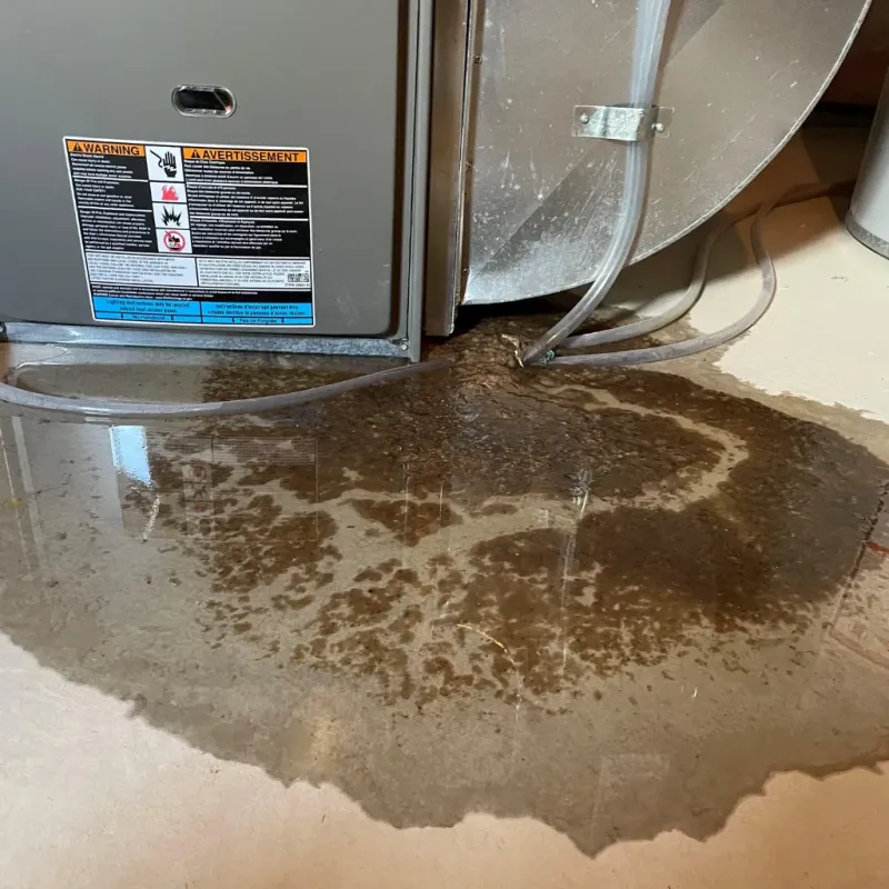 Appliance Leak Cleanup in Marion County, IL