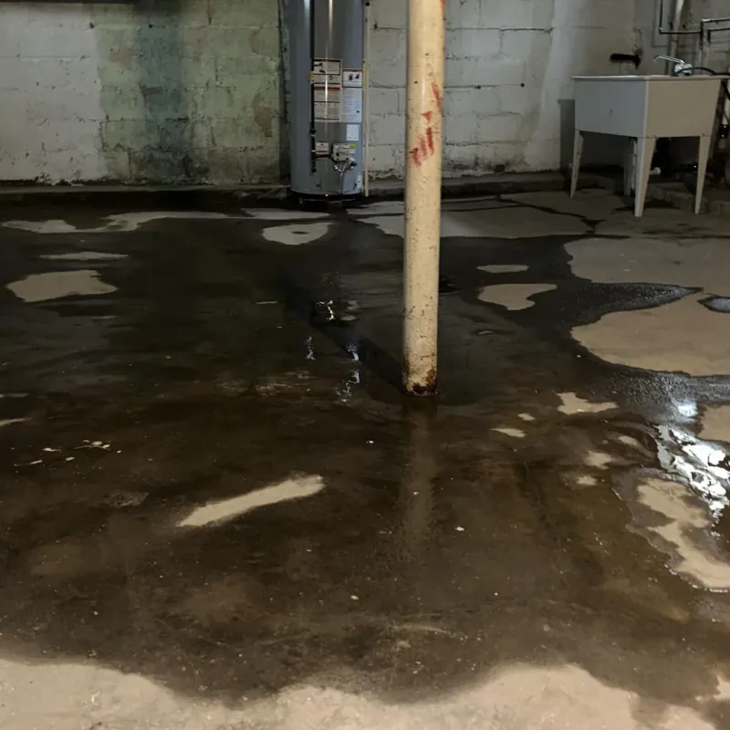 Emergency Water Extraction And Removal in Marion County, IL